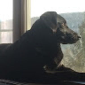 Meet your Posher, Colleen